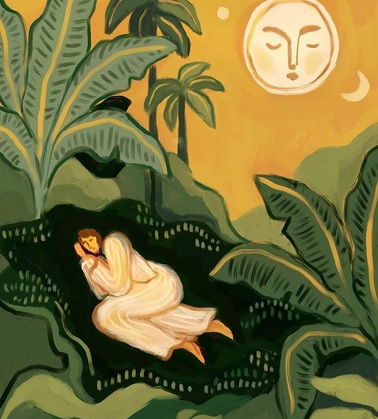 Eye on Instagram: From Indian wildlife to magical realism