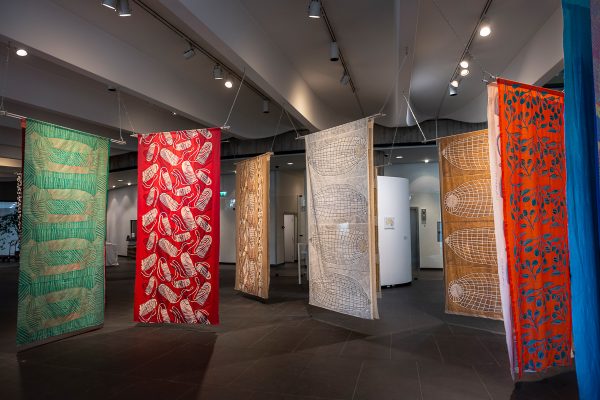 Display of Jarracharra Courtesy: Artist's Centre