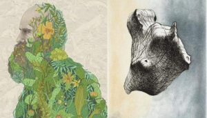 The Evolution of Art: How Charles Darwin Revolutionised The Visual Arts Space