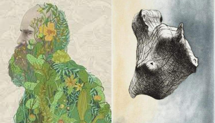 The Evolution of Art: How Charles Darwin Revolutionised The Visual Arts Space