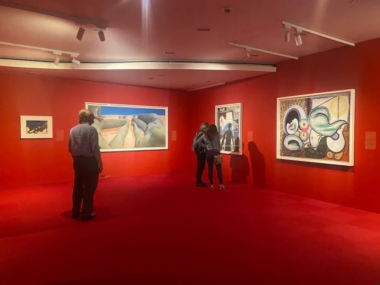 Negative reviews of Hannah Gadsby’s “Pablo-matic” Show Dismissed by Brooklyn Museum