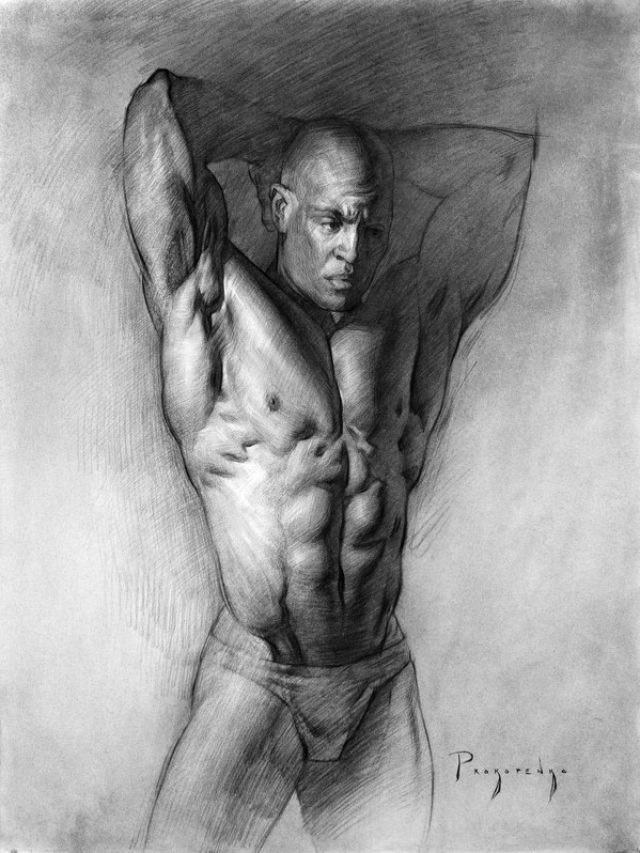 A Beginner’s Guide to use Charcoal Powder for Drawing
