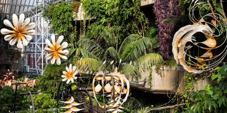 Ranjani Shettar and the Narratives of Nature