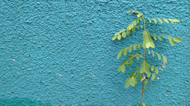 3 EASY Steps to DIY Popcorn Textured Walls