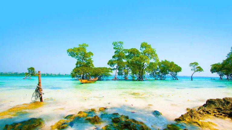 The Environmentally Conscious Art and Craft of Andaman and Nicobar Islands