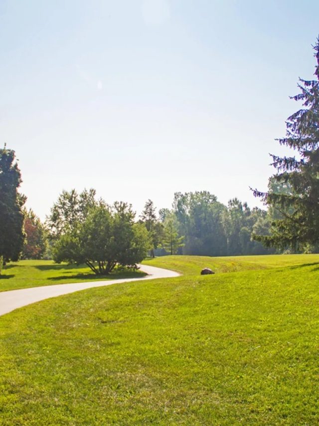 cropped-City-park-system-by-Frederick-Law-Olmsted.jpg