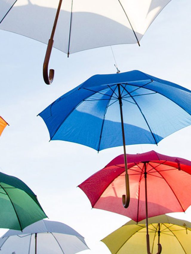 cropped-Courtesy-Boer-Insurance-Group.jpg