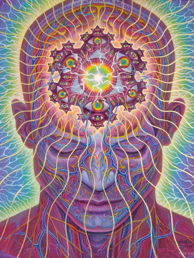 The-Seer-2018-Alex-Grey-watermarked