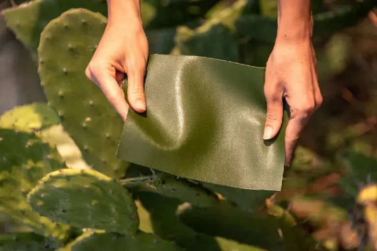 From Prickly Pear to Chic Wear: How Cactus Leather is Reshaping Fashion Sustainability