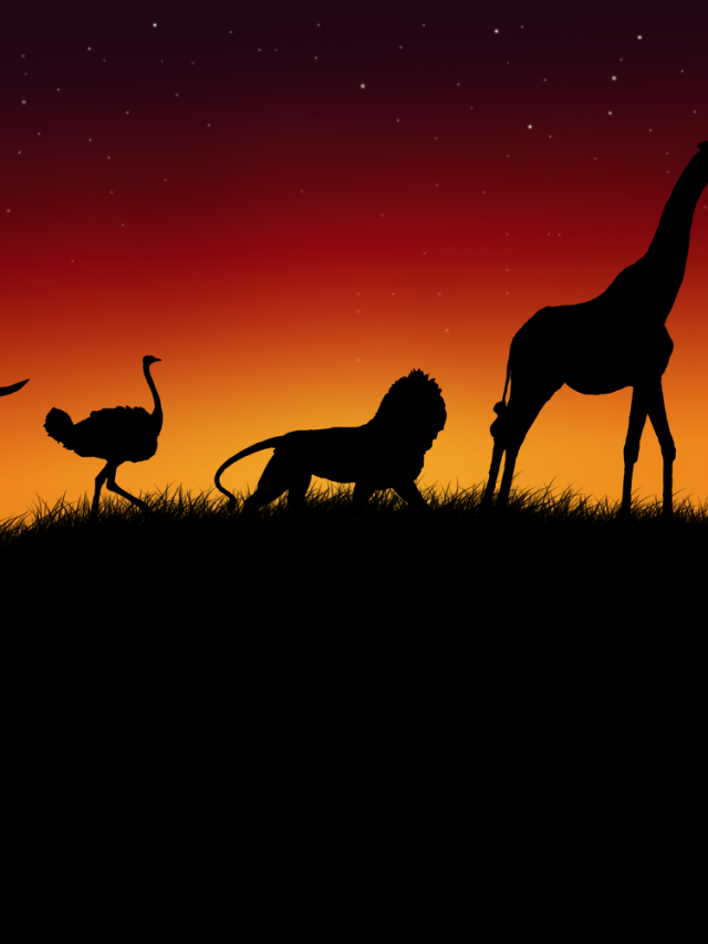 cropped-3bc68c7c60054c9342183143aece5186.png