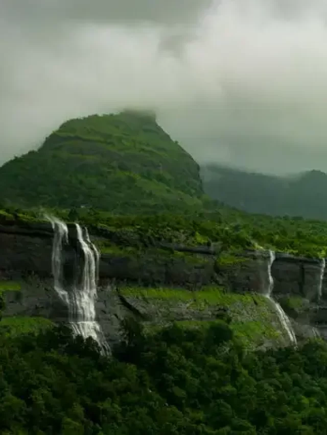 cropped-acj-1004-bhimashankar.webp