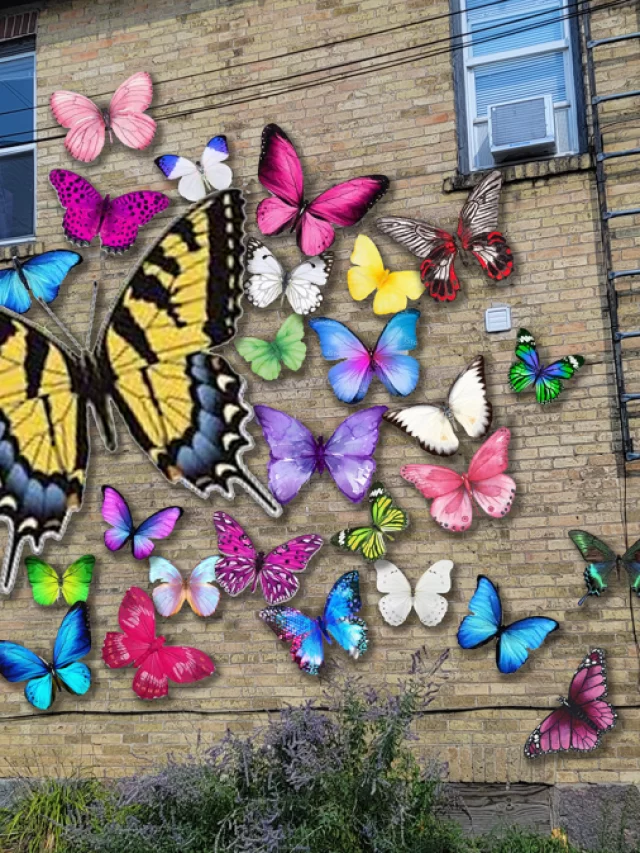 cropped-Courtesy-Greenwater-Garage-Gallery.webp