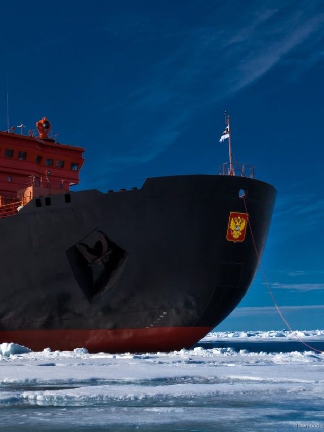 cropped-Courtesy-International-Chamber-of-Shipping.jpg
