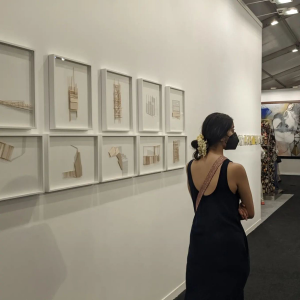 India Art Fair, Contemporary Indian Art Summit in South-East Asia.