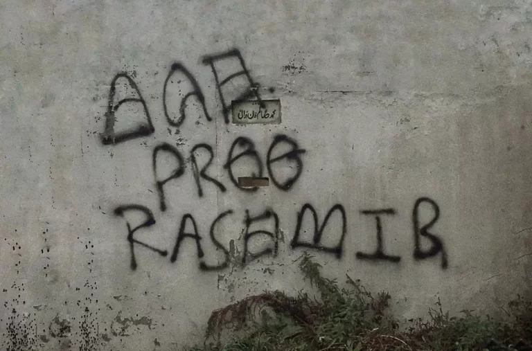 Pro-Palestine Graffiti on the Walls of Jadavpur University, FIR registered for the Rebellious Art