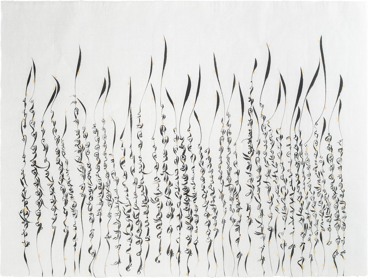 Calligraphy Display by Nikheel Aphale at Bikaner House
