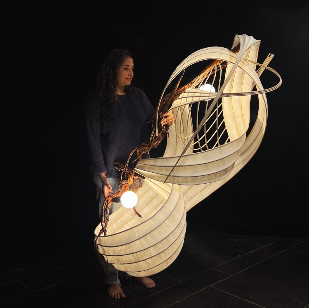 Installation, Image Courtesy: Radhika Sanghvi