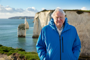 7 paintings inspired by David Attenborough’s Ocean Documentary