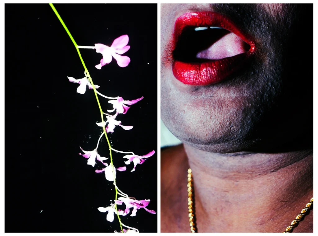 Sohrab Hura. Images from The Coast. Courtesy - Sohrab Hura and Magnum Photos