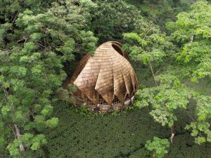 Mianzi: Industrializing Sustainability and Craft