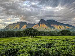 UNESCO Adds 26 New Sites to World Heritage List, Highlights Africa’s Culture and Natural Riches