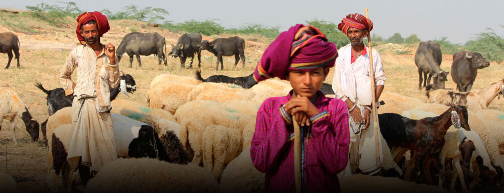 Image Courtesy: Hidden Treasures of India