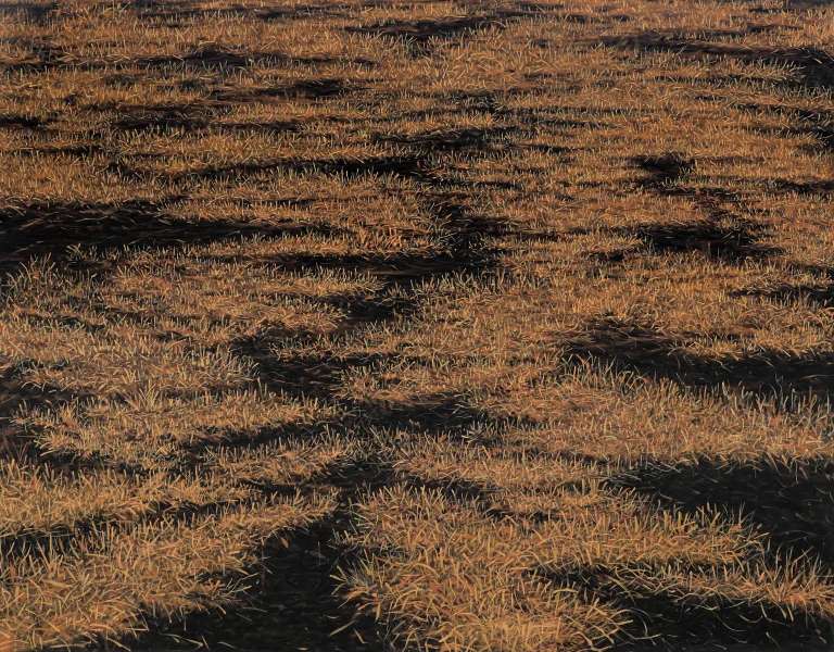 Cities, Soil and Memory: Mapping Urban Landscapes and Climatic Realities in Contemporary Art