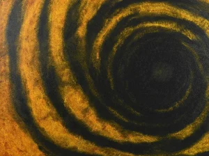 Light as creation, A Solo Exhibition by Divyaman Singh