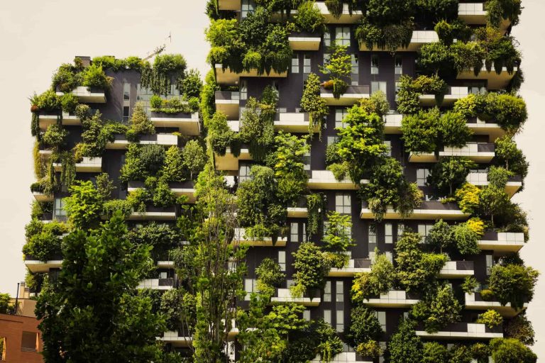 The Rise of Ethical Design: Transparency, Fairness, and Circular Economy
