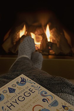 Person with A Little Book of Hygge