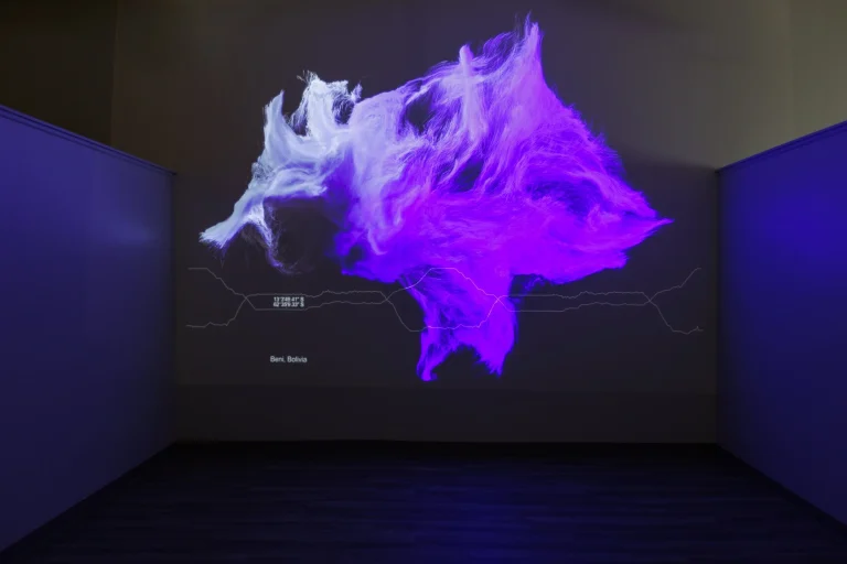 Faisal Anwar’s “CommonSky” Merges Art and Climate Science at South Asia Institute, Chicago