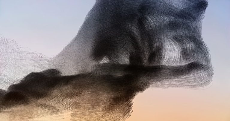 Xavi Bou: Making the Invisible Visible Through Ornitographies