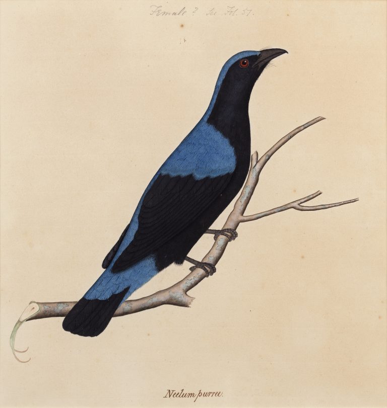 DAG Set to Unveil Largest-Ever Company Paintings Exhibition at Aguad Port, Goa