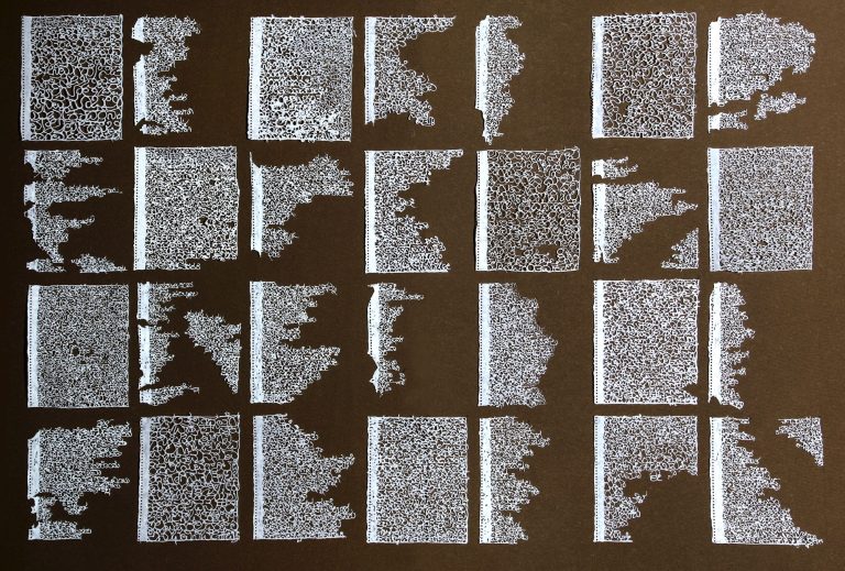 Artist Ravi Kashi Explores Paper as Metaphor in New Delhi Solo Exhibition