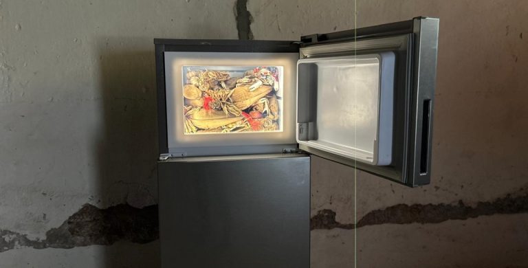 Adrian Villar Rojas: The decays of Another World in the Fridge