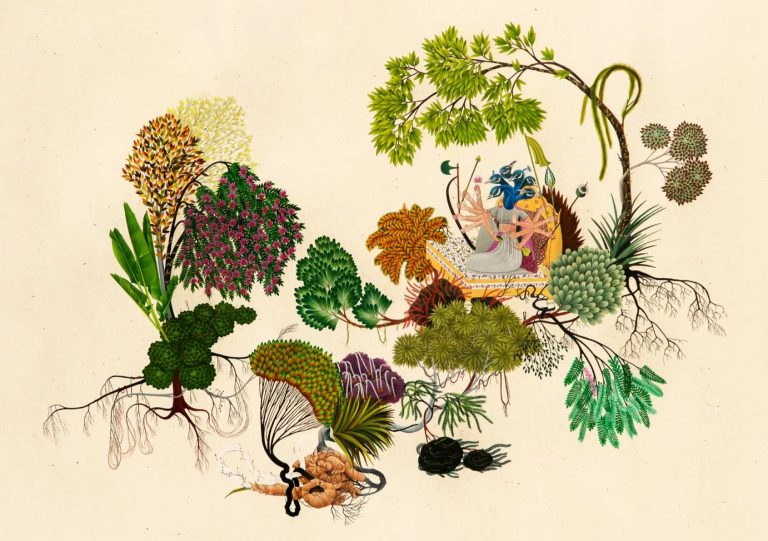 Body Politics and the Question of Fluidity: Decoding Manjot Kaur’s Artistic Eco-System