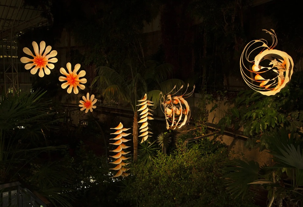 Ranjani Shettar, Venice Biennale 2026