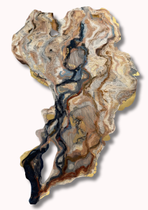 Rahul Jain and Gunjan Arora Unveil River Flows in Delhi