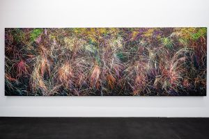 Exploring Kerala’s Shola Grasslands: A New Art Exhibit by Priti Vadakkath