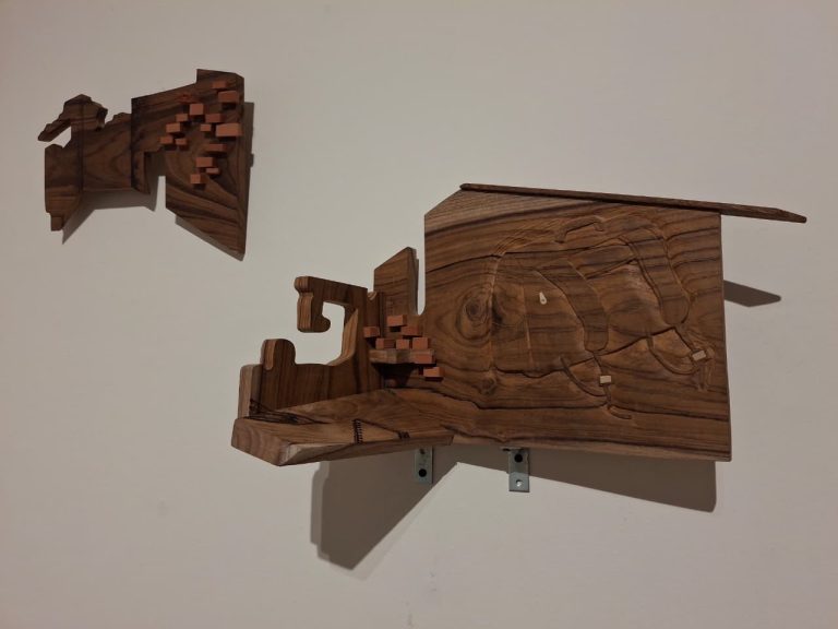 Akanksha Patil’s Solo Show Set to Open in Delhi