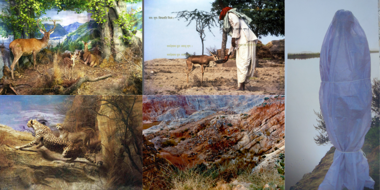 Inside Historia Denaturalis: Ravi Agarwal and the Rewriting of Denaturalized History 