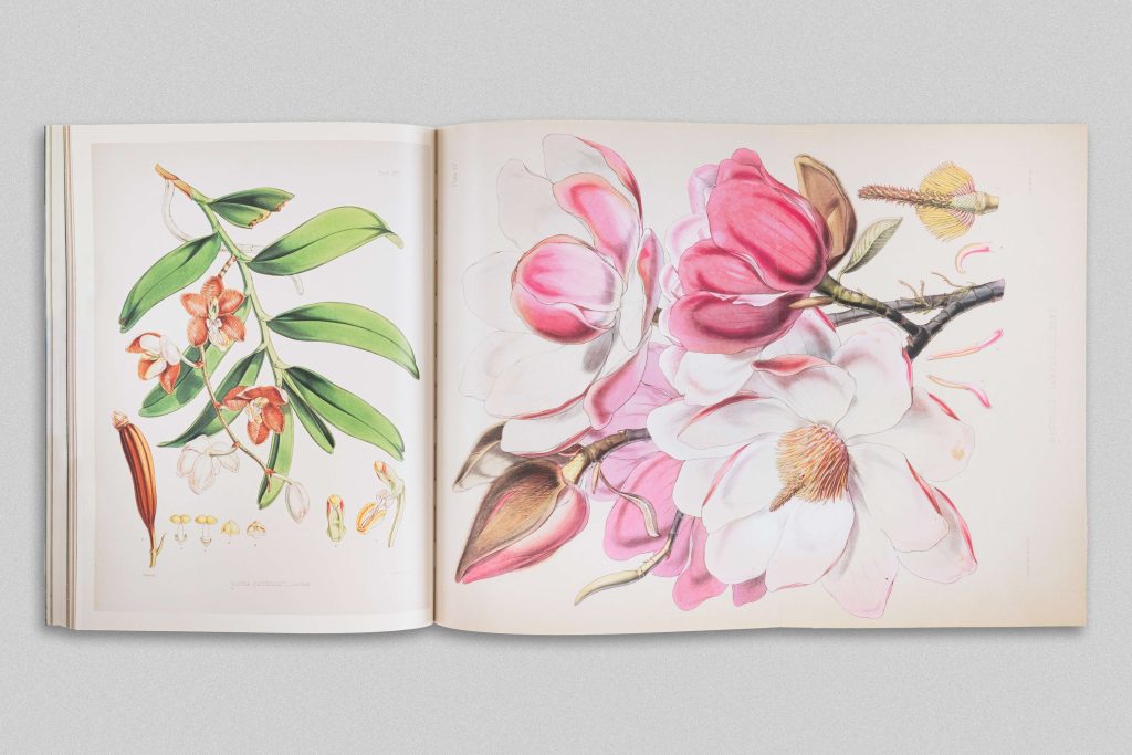 Paper gardens