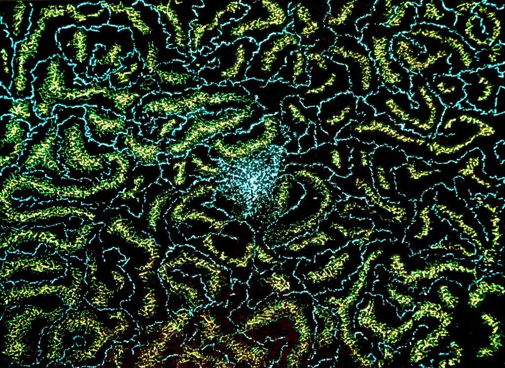 Life’s Dream Acrylic on canvas with led light panel 48 x 60 inches